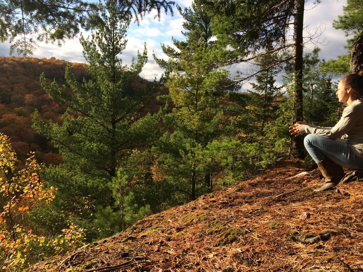 Les Cabines Nordik Des Piles Villa Saint-Jean-des Piles Luaran gambar
