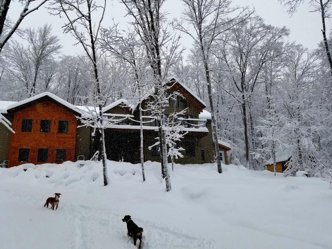 Les Cabines Nordik Des Piles Villa Saint-Jean-des Piles Luaran gambar